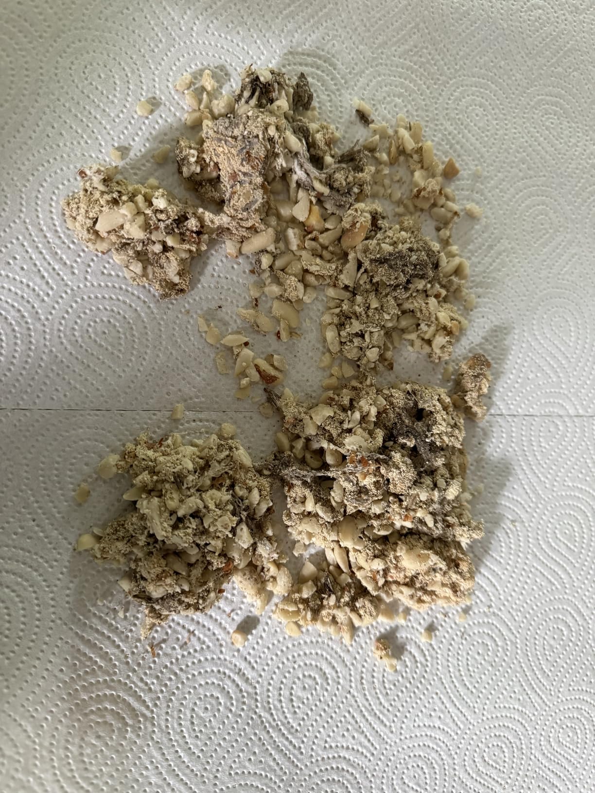Dehner Natura Premium Wildvogelfutter Erdnüsse 10kg schalenfrei