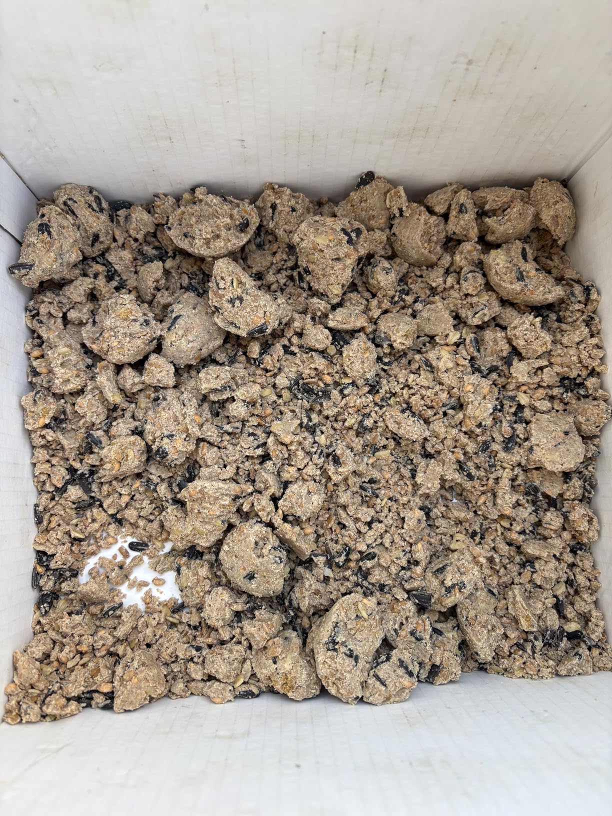 Dehner Natura Meisenknödel ohne Netz Insekten 100x90g proteinreich