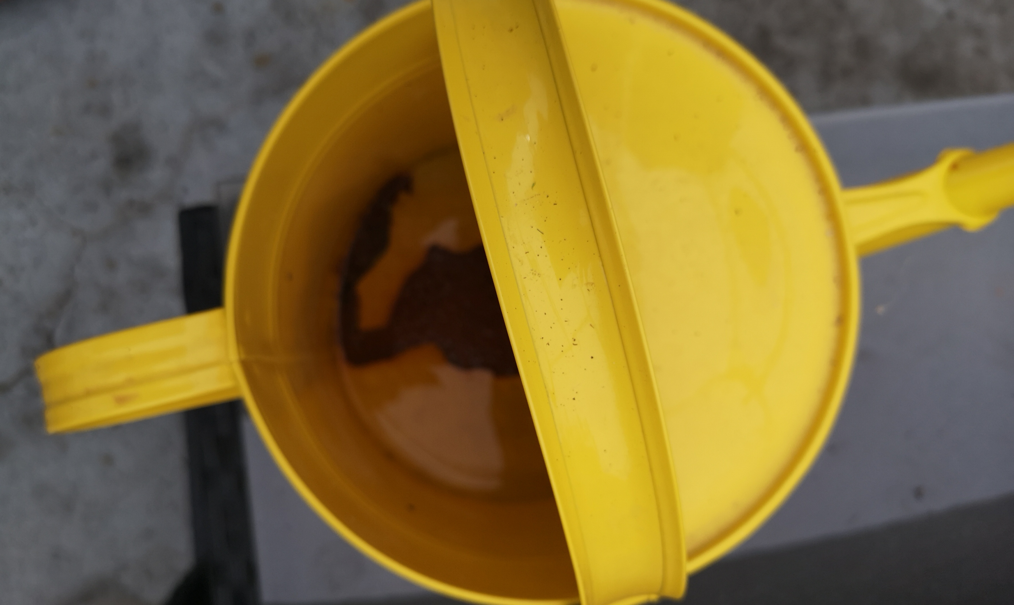 Dehner Gießkanne nostalgisch Zink gelb 5 l 41 cm