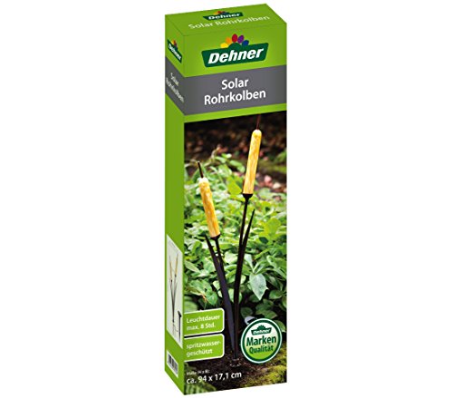 Dehner Lovely Solar Rohrkolben 94 cm Metall Glas 8 Std.