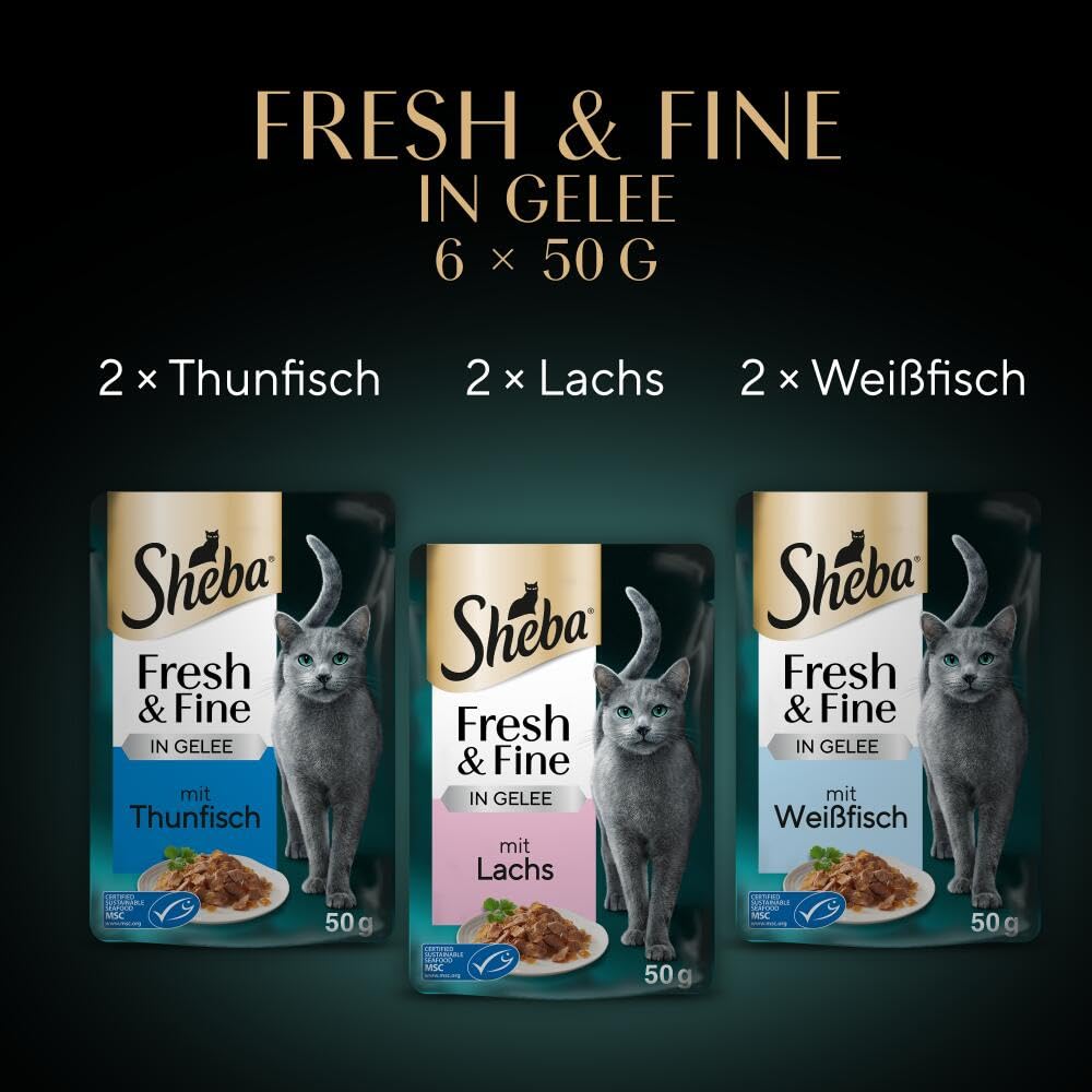 Sheba Fresh Fine Thunfisch Lachs Nassfutter 36x50g Gelee