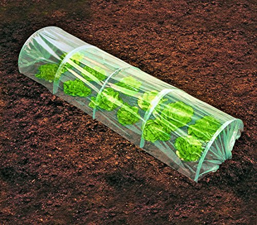 Dehner Lovely Folientunnel 250x80 cm Polyethylen faltbar