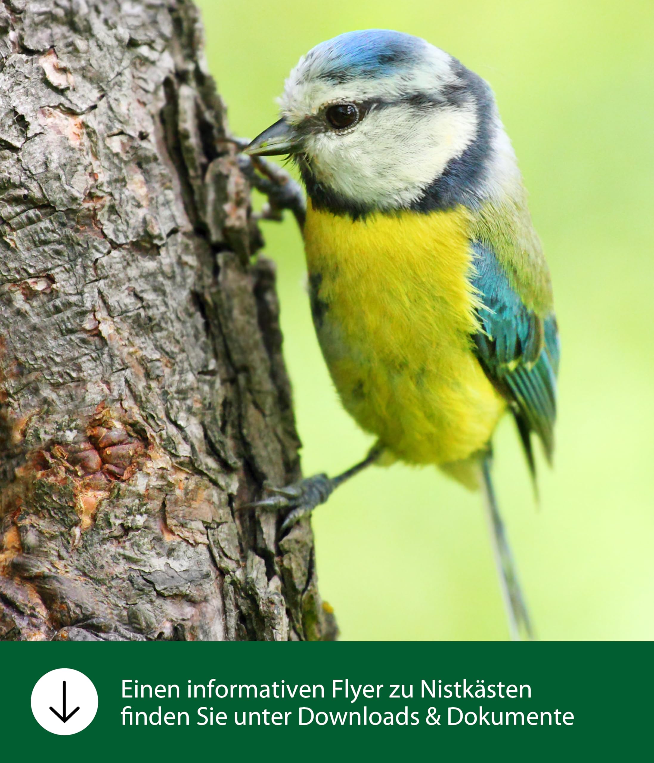 Dehner Natura Freya Nistbeutel Schilf Ø16