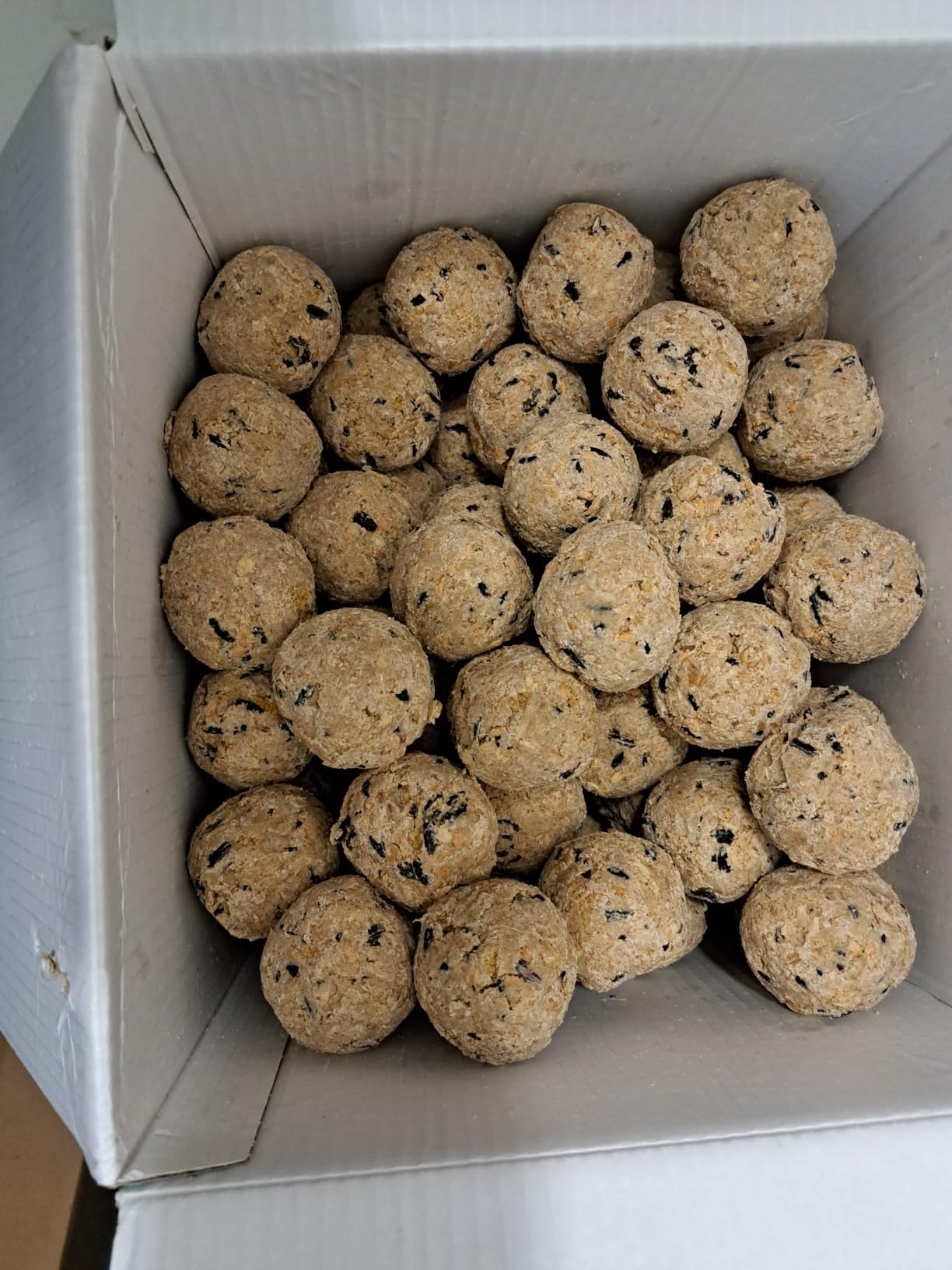 Dehner Natura Meisenknödel ohne Netz Insekten 100x90g proteinreich