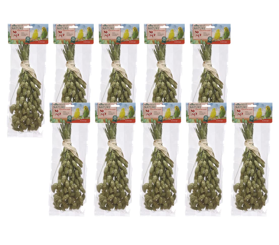 Dehner Best Nature Knabberhalme Rispenhirse Vogelsnack 10x50g