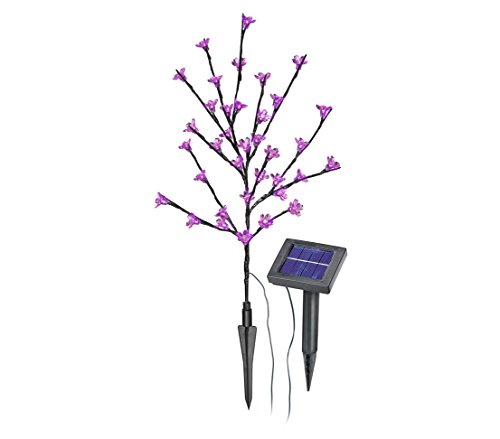 Dehner Living Solar Blütenstrauch pink 60 cm 36 LED