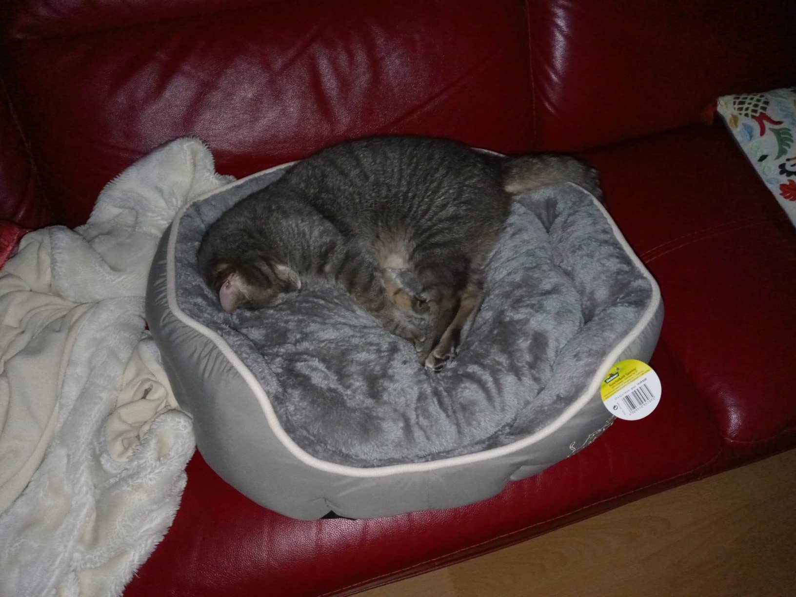 Dehner Lieblinge Sammy Hundebett oval grau 57x52 cm