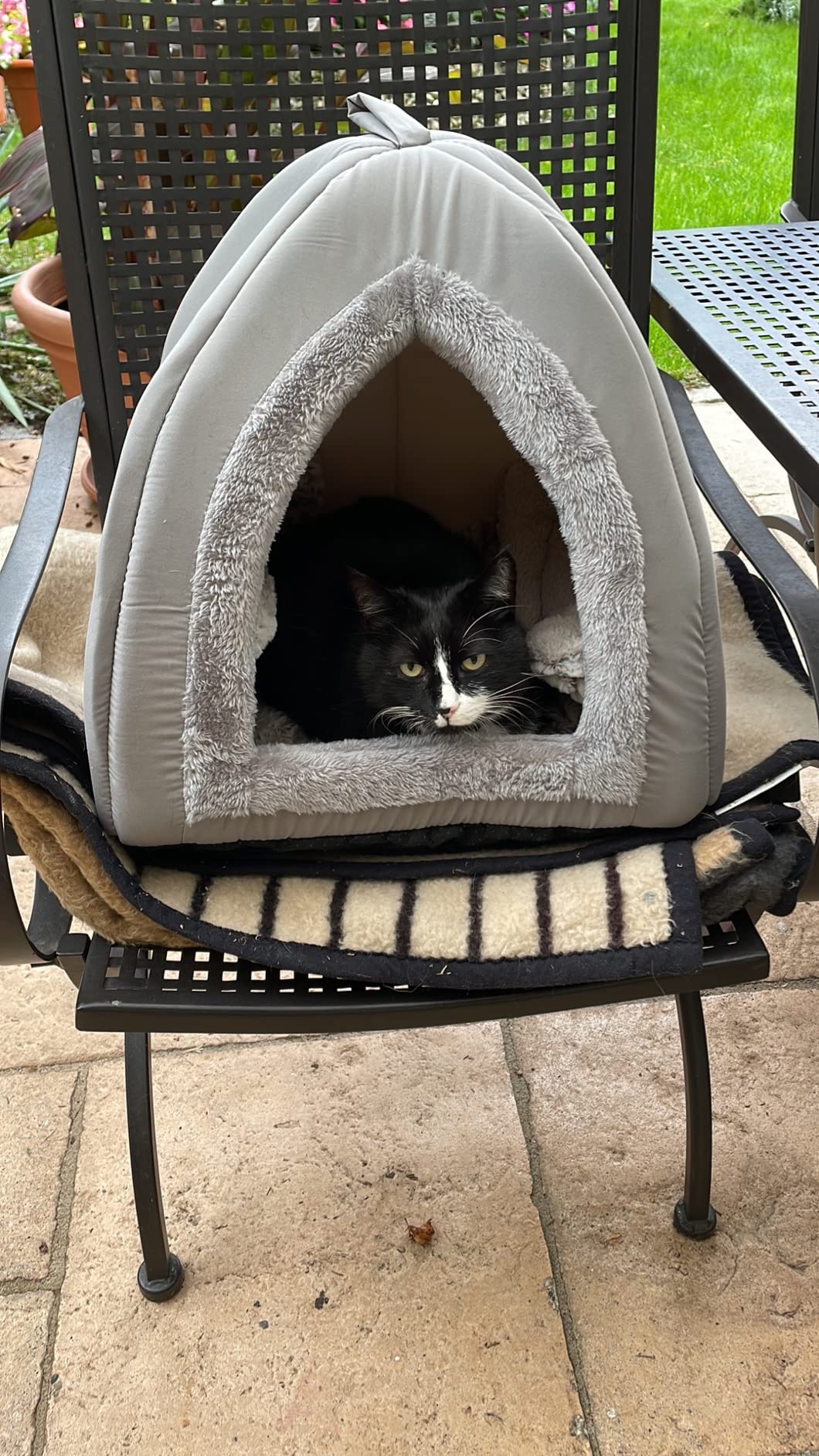 Dehner Lieblinge Findus Katzen Kuschelhöhle Grau 40x40x35