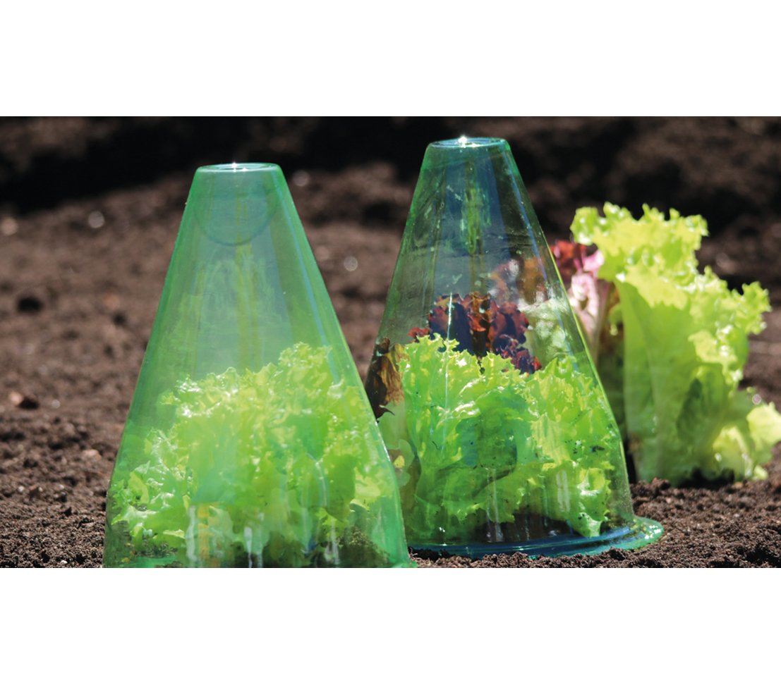 Dehner Pflanzenhut grün 10 Stück Schutz 30cm