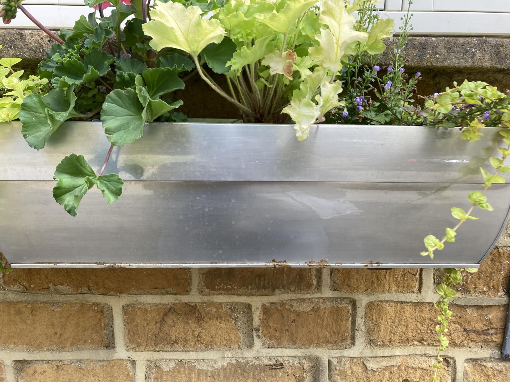 Dehner Zink-Blumenkasten Pflanzgefäß 60cm weiß