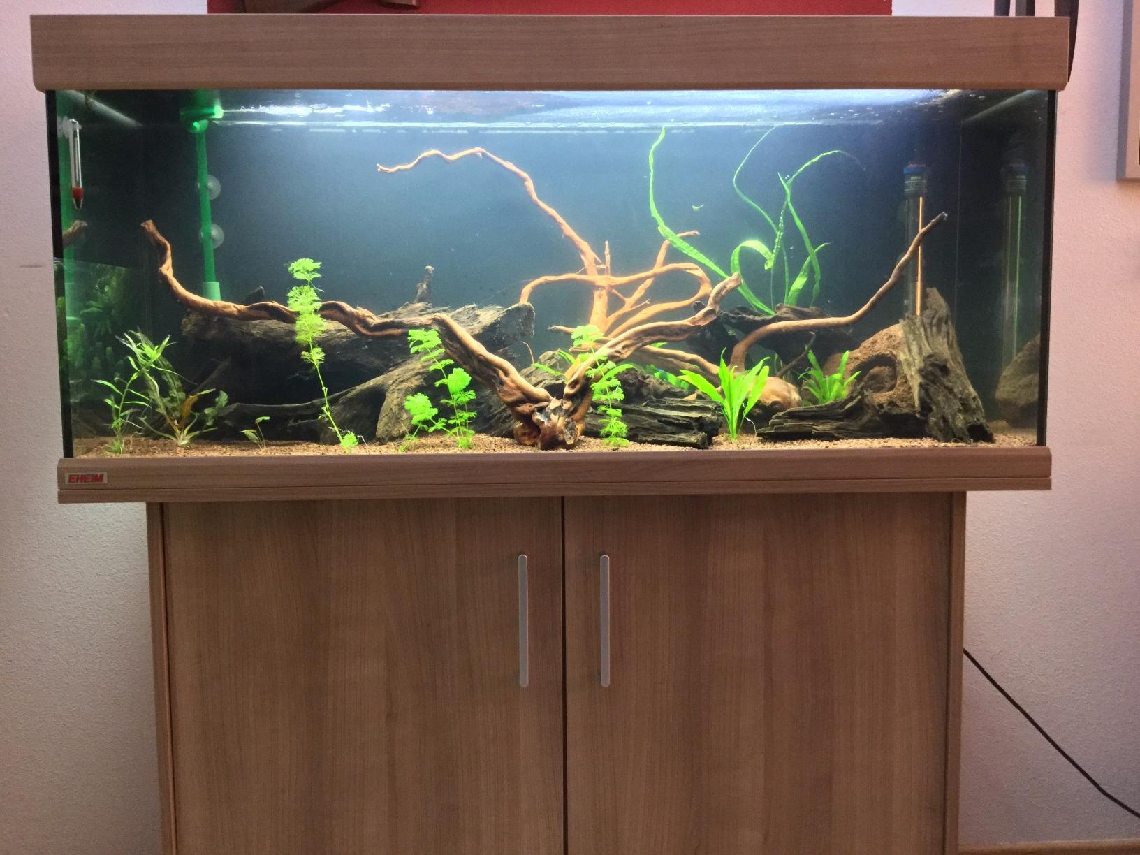 Dehner Aqua Aquarienkies 2-4 mm 5 kg rot abgerundet