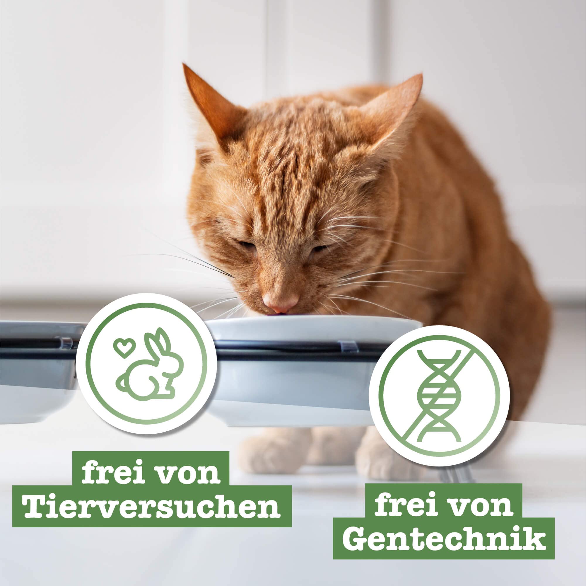 catz finefood N°15 Huhn & Fasan Nassfutter 6x800g getreidefrei