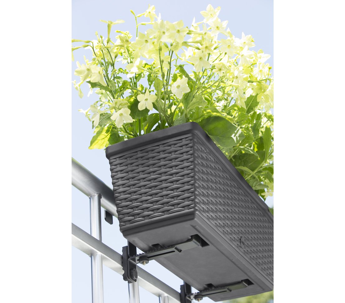 Dehner Casa Mesh Blumenkasten 75x20x18cm anthrazit Rattan
