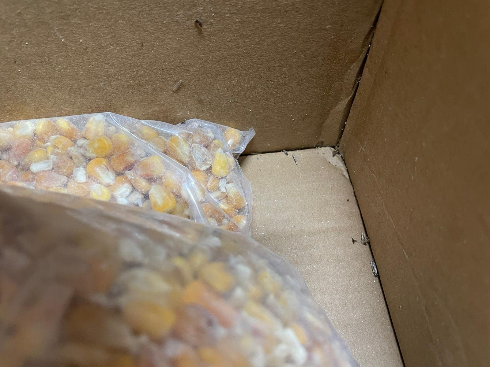 Dehner Körnermais Hühnerfutter Vögel Nager 10 kg
