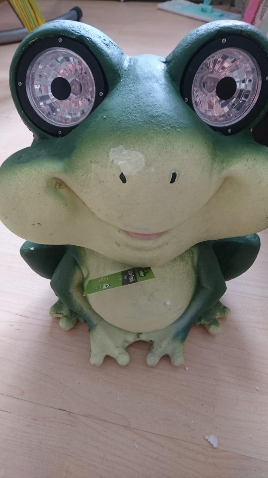 Dehner Dekofigur Solarleuchte Frosch Fridolin grün 31,7cm