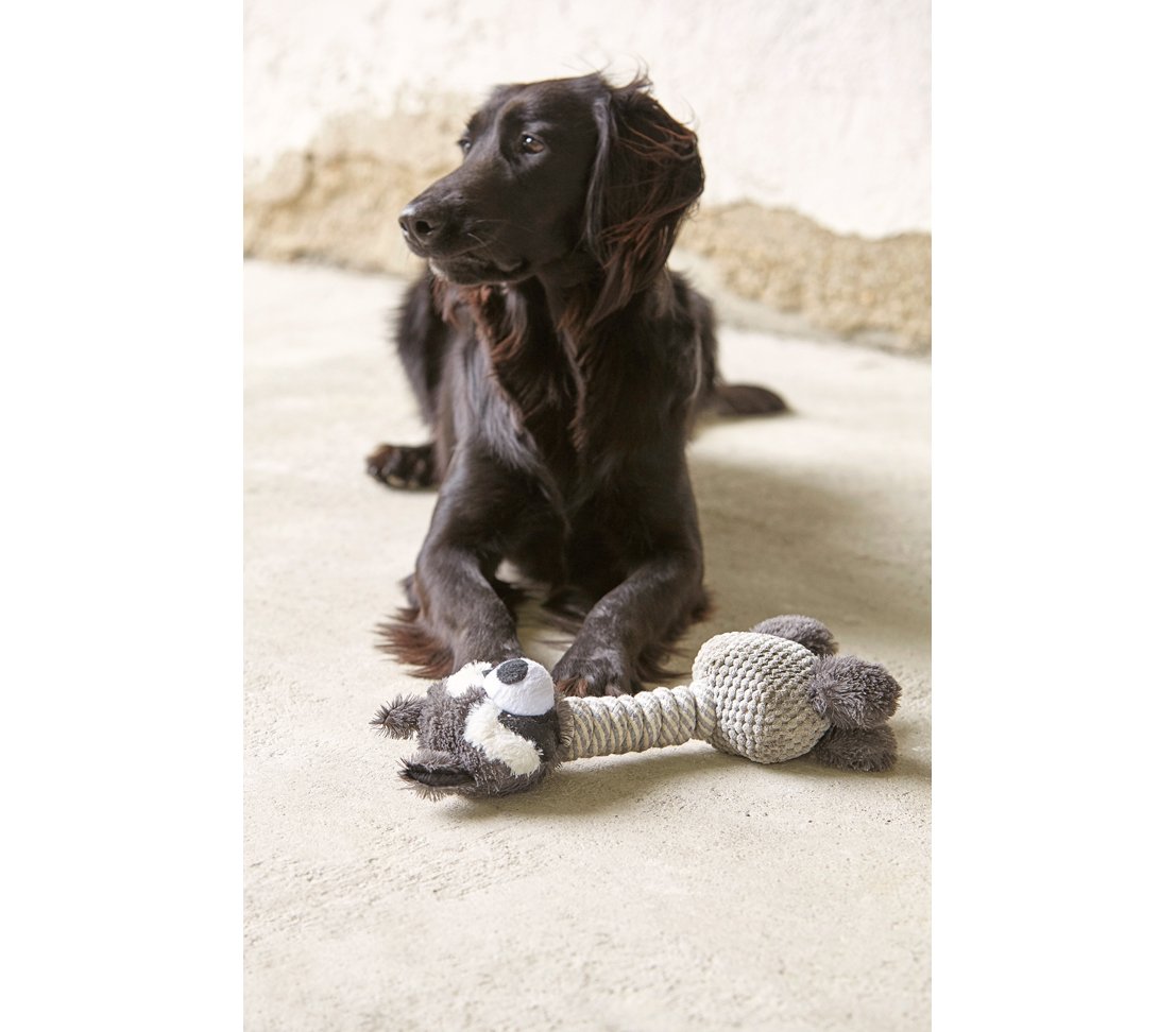 Dehner Premium Lovely Racoon Hundespielzeug grau 34x15 cm Quietscher