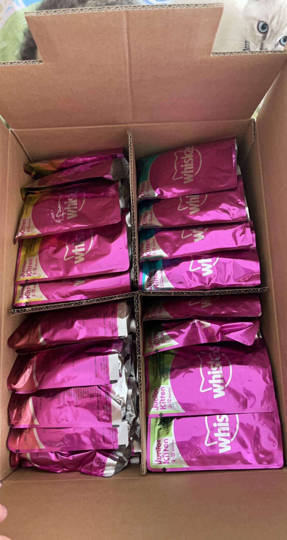 Whiskas Junior Klassik Nassfutter Sauce 84x100g Huhn Rind