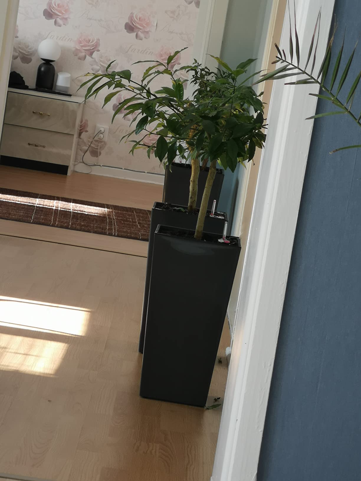Dehner Elise Kunststofftopf weiß 47x25cm selbstbewässernd