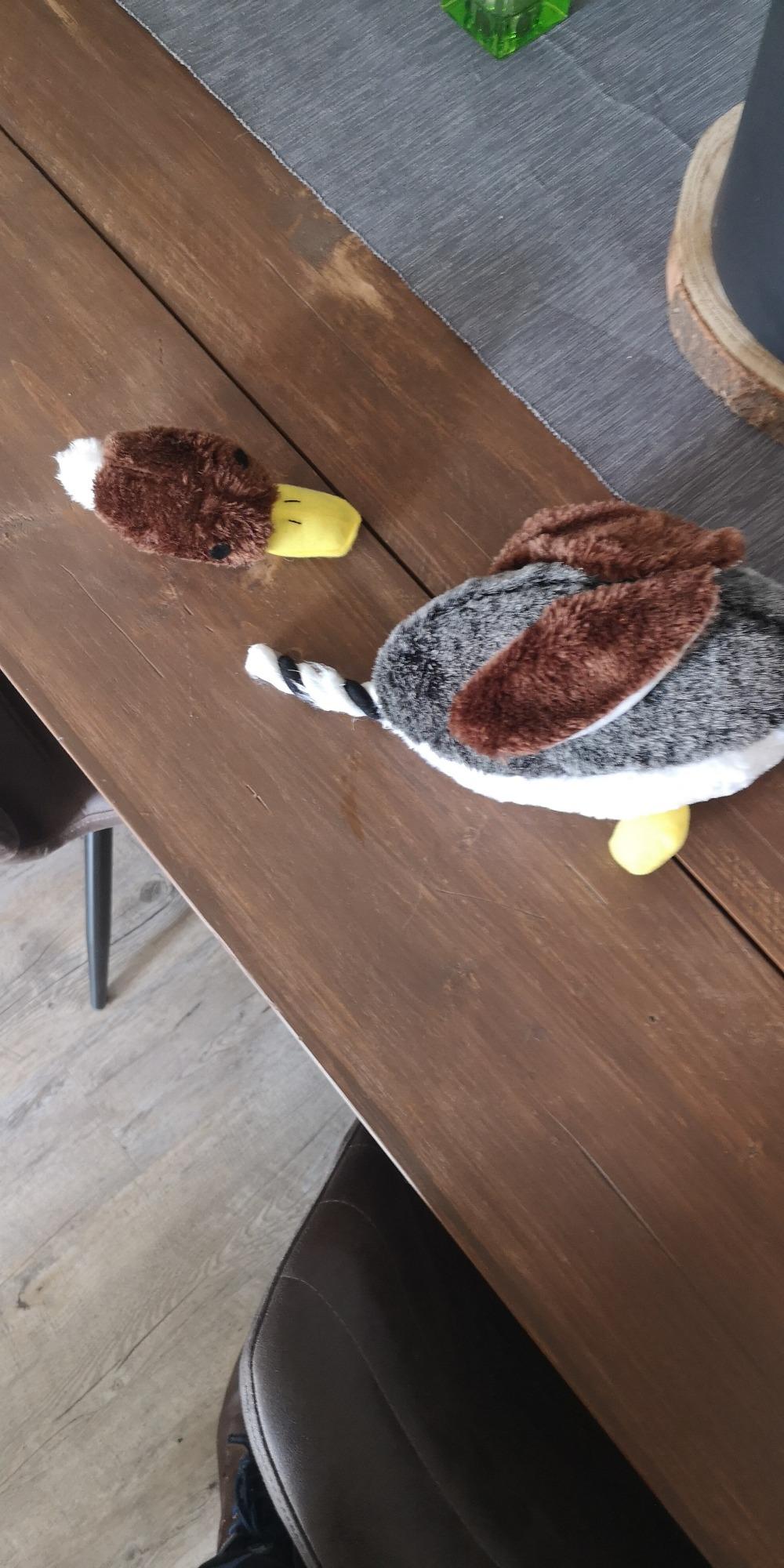 Dehner Daffy Ente Hundespielzeug Plüsch 40x17cm mit Sound