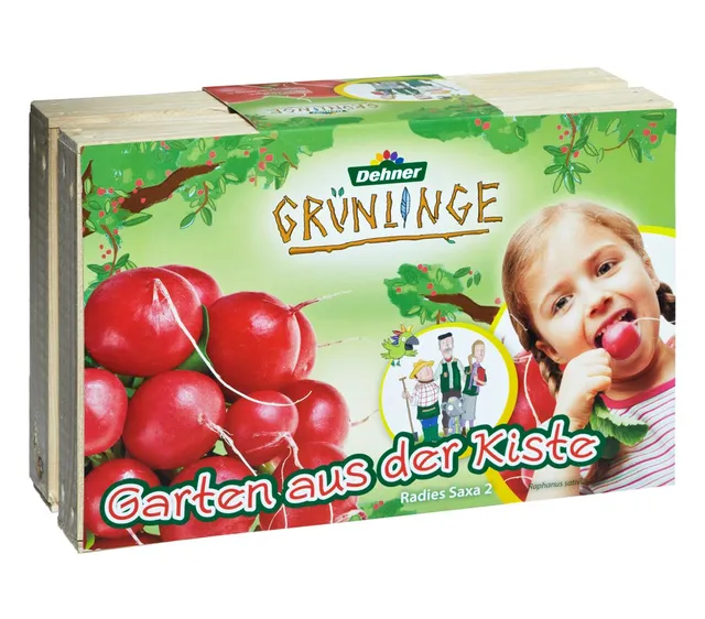 Dehner Grünlinge Garten aus der Kiste Radieschen Set