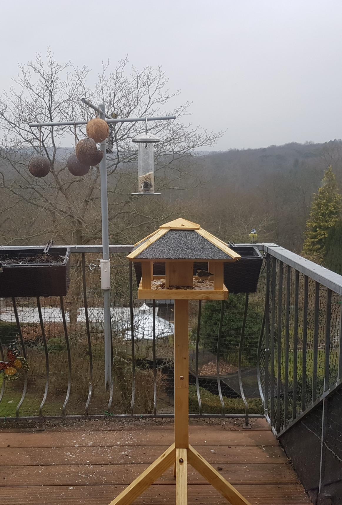 Dehner Natura Futterbuffet Maxi Wildvogelfutter 8-teilig Ganzjahr