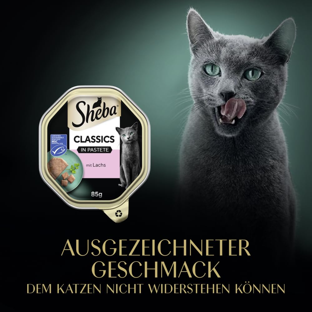 Sheba Classics Nassfutter mit Lachs 22x85g Schale