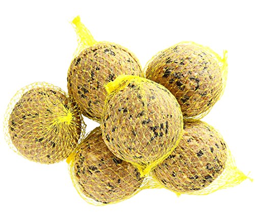 Dehner Natura Set Meisenknödel 21St + Streufutter 3kg