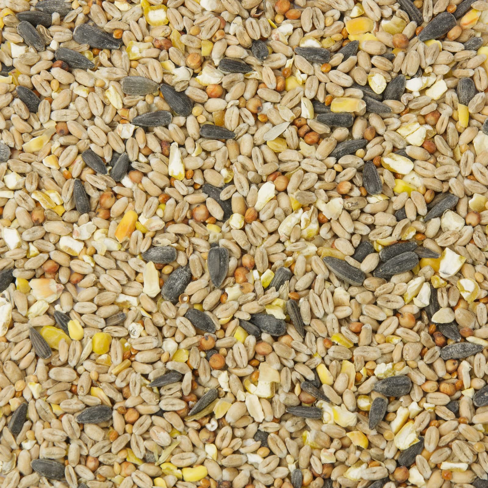 Mr. Crumble Körner-Picknick Vogelfutter 2,5kg ganzjährig