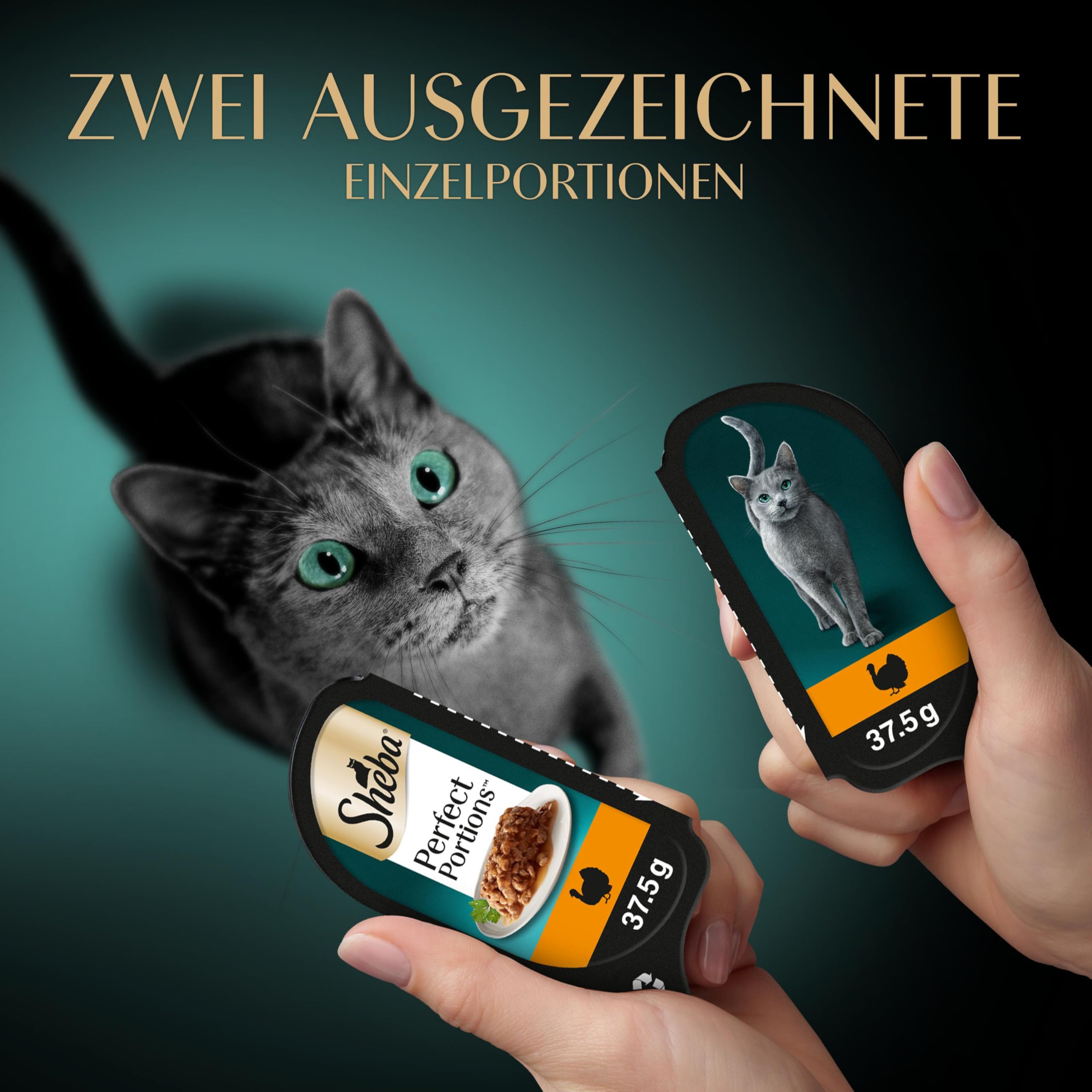 Sheba Perfect Portions Sauce Truthahn Nassfutter 8er Pack frisch