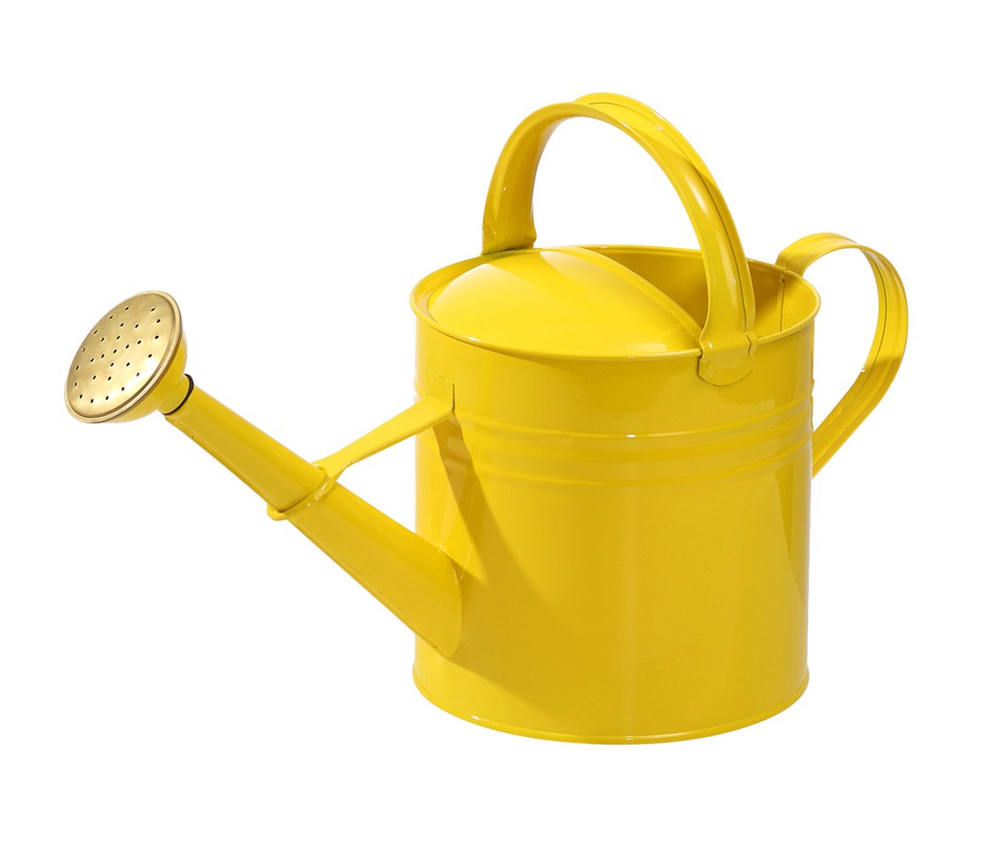 Dehner Gießkanne nostalgisch Set 9l+5l Zink Brause