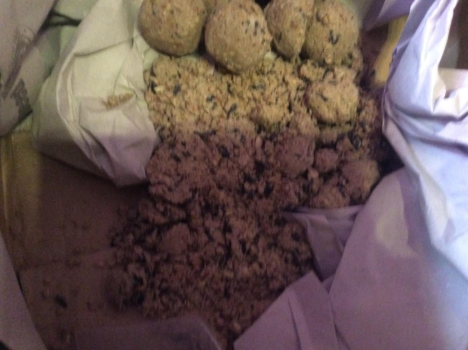 Dehner Natura Insekten-Knödel Wildvogelfutter 100 Stück