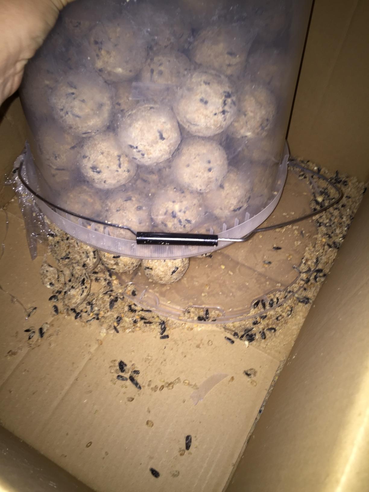 Dehner Natura Meisenknödel ohne Netz Wildvogelfutter 100x90 g