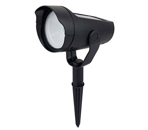 Dehner Premium Lovely Solarspot Solarleuchte schwarz schwenkbar 28cm
