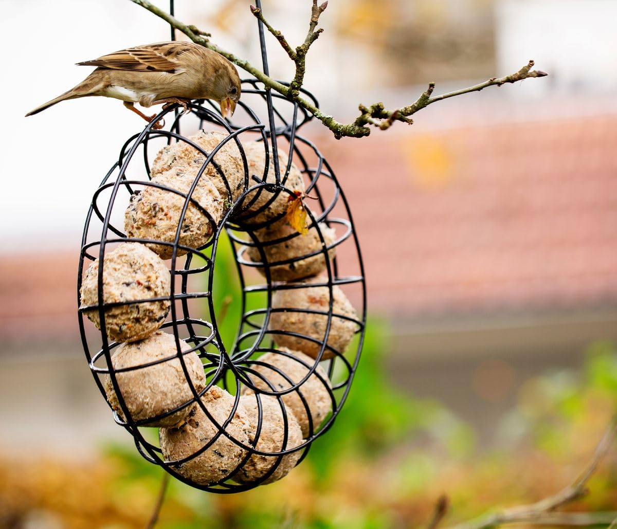 Dehner Natura Meisenknödelring Metall Ø24,5cm 10 Knödel