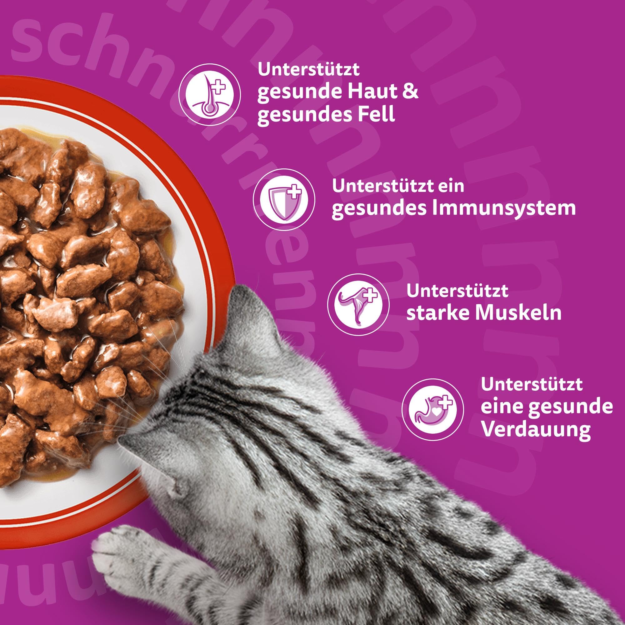 Whiskas Classic Nassfutter in Sauce Klassische Auswahl 84x85g