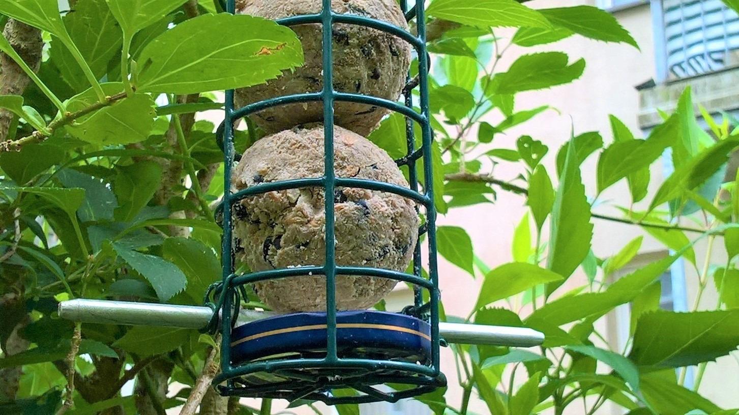 Dehner Natura Meisenknödel o. Netz Insekten 100x90g
