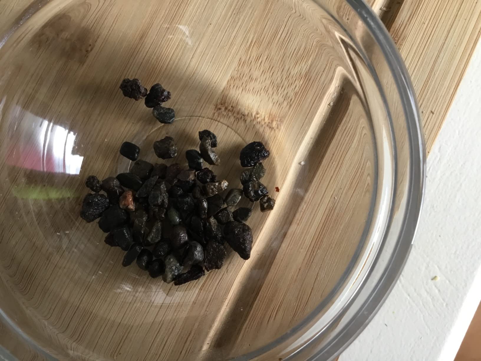 Dehner Natura Wildvogelfutter Rosinen 5 kg ungeschwefelt