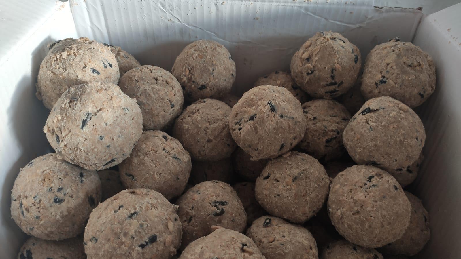 Dehner Natura Meisenknödel ohne Netz Insekten 100x90g proteinreich