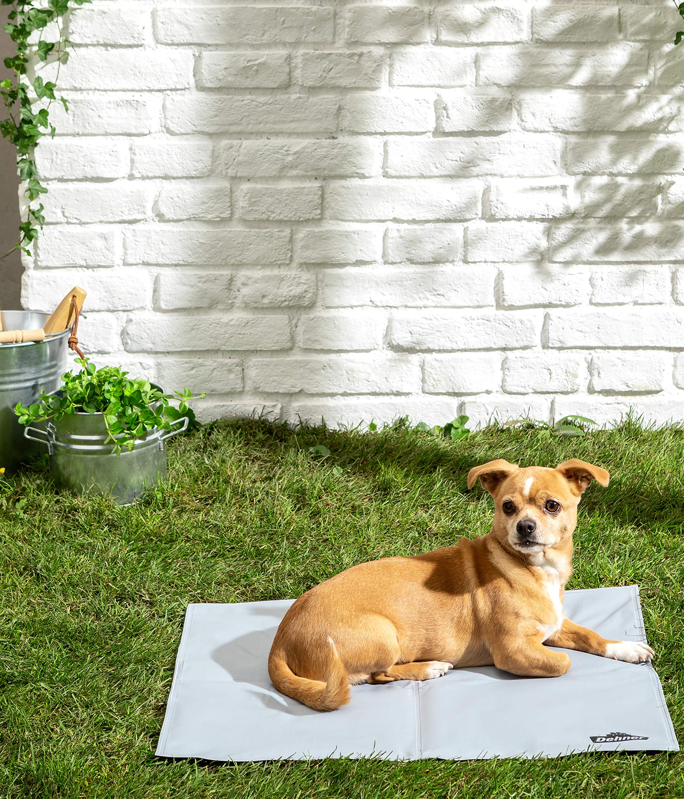 Dehner Refresh Hunde-Kühlmatte grau 60x50 cm Gel
