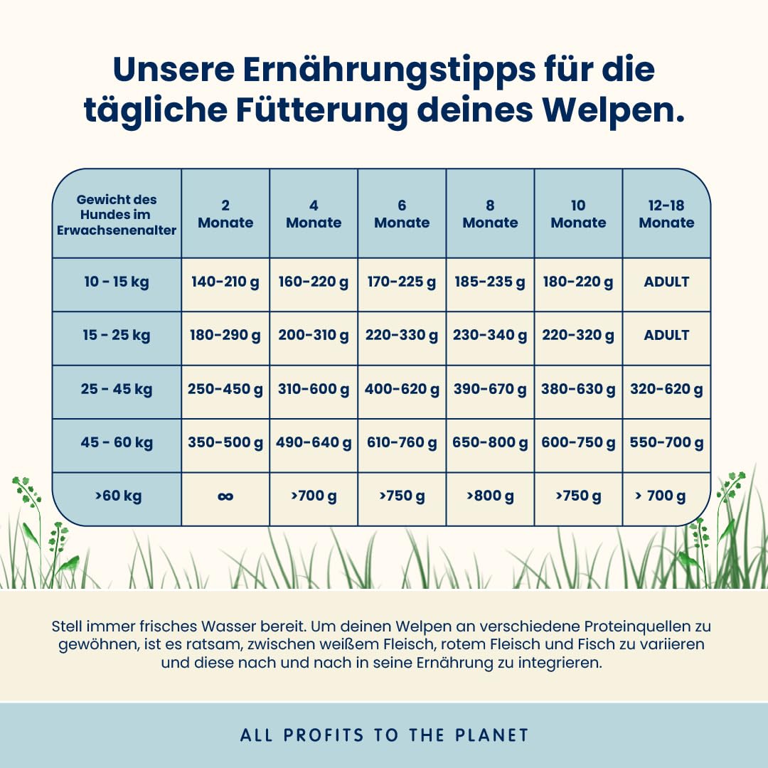 Almo Nature Puppy M-L Trockenfutter Huhn 12kg für Welpen