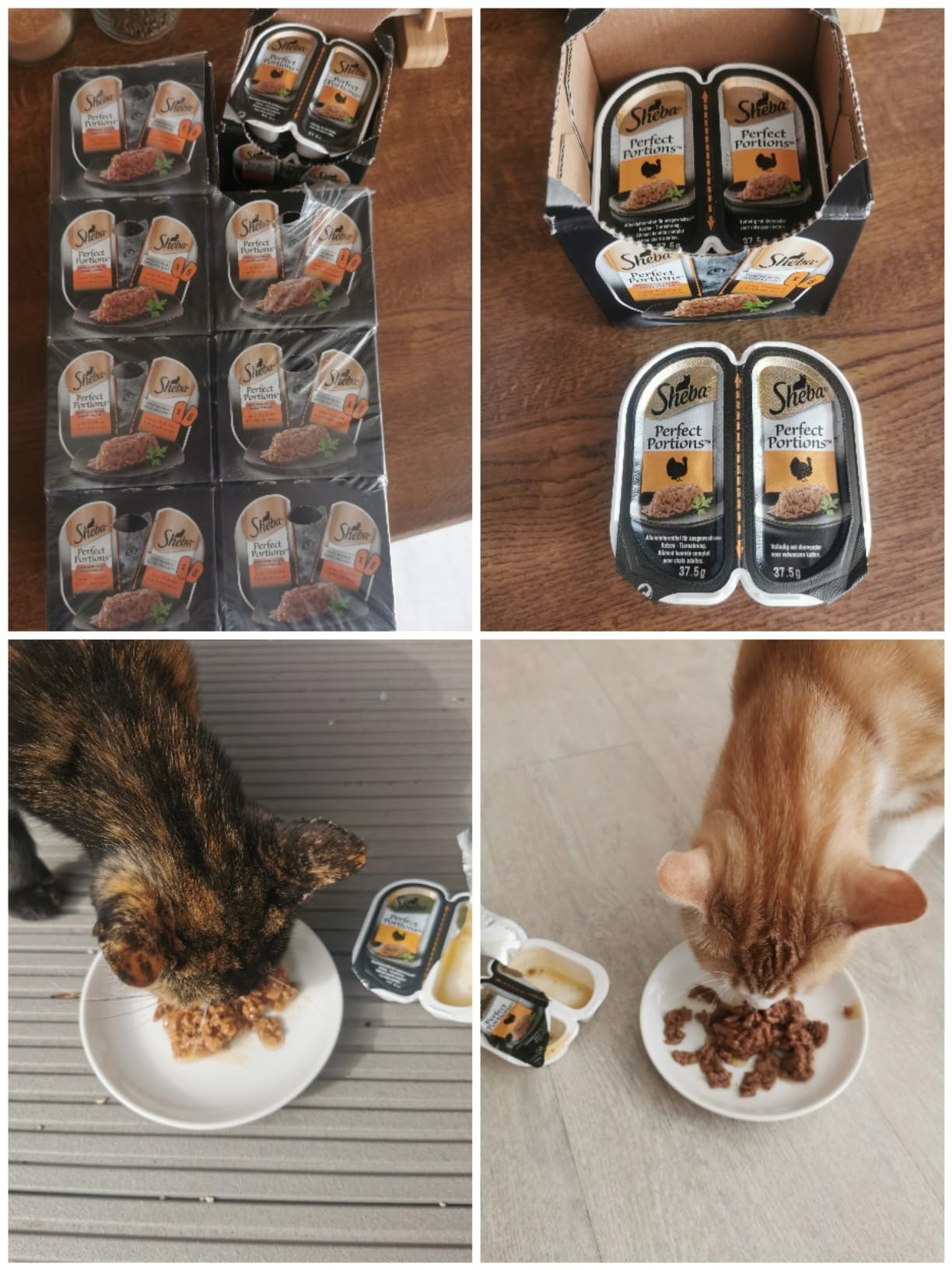 Sheba Perfect Portions Sauce Truthahn Nassfutter 8er Pack frisch