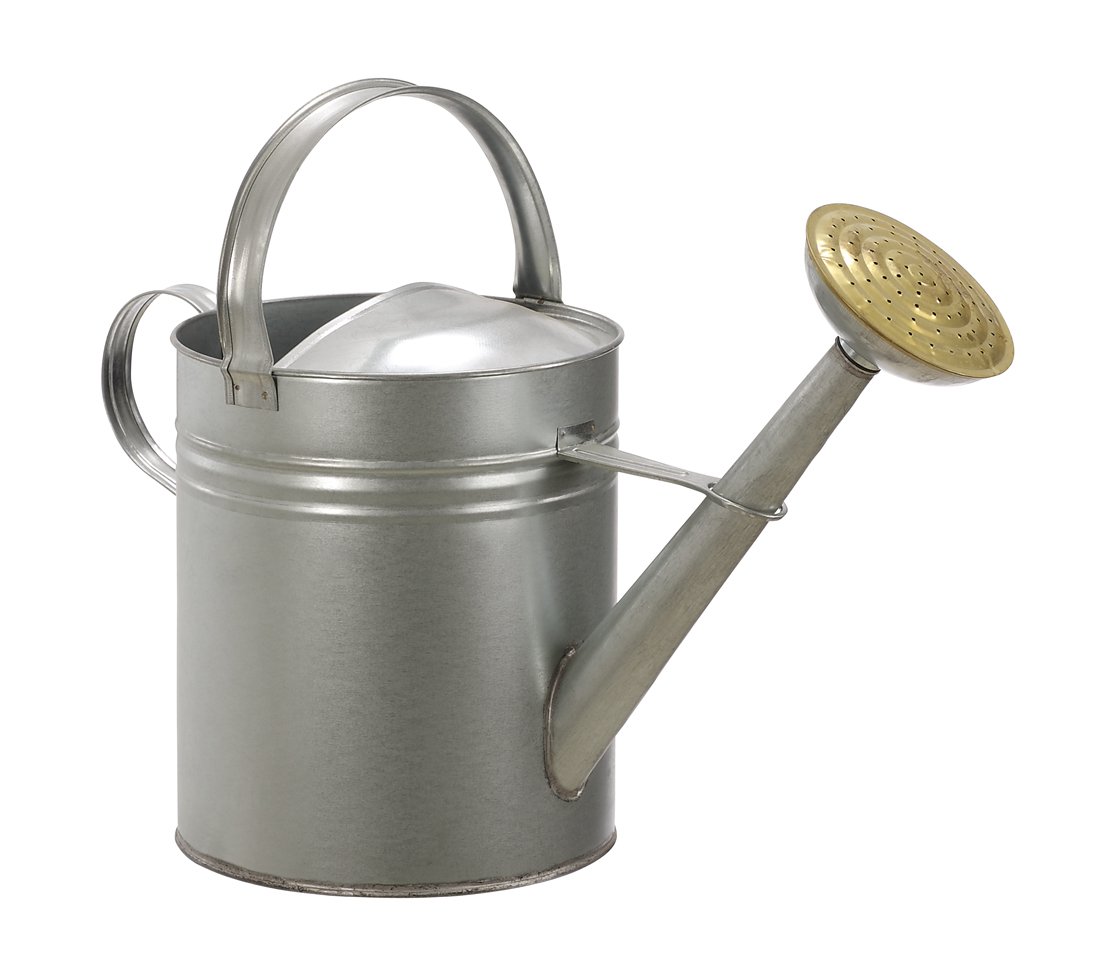 Dehner Gießkanne nostalgisch Set 9l+5l Zink Brause