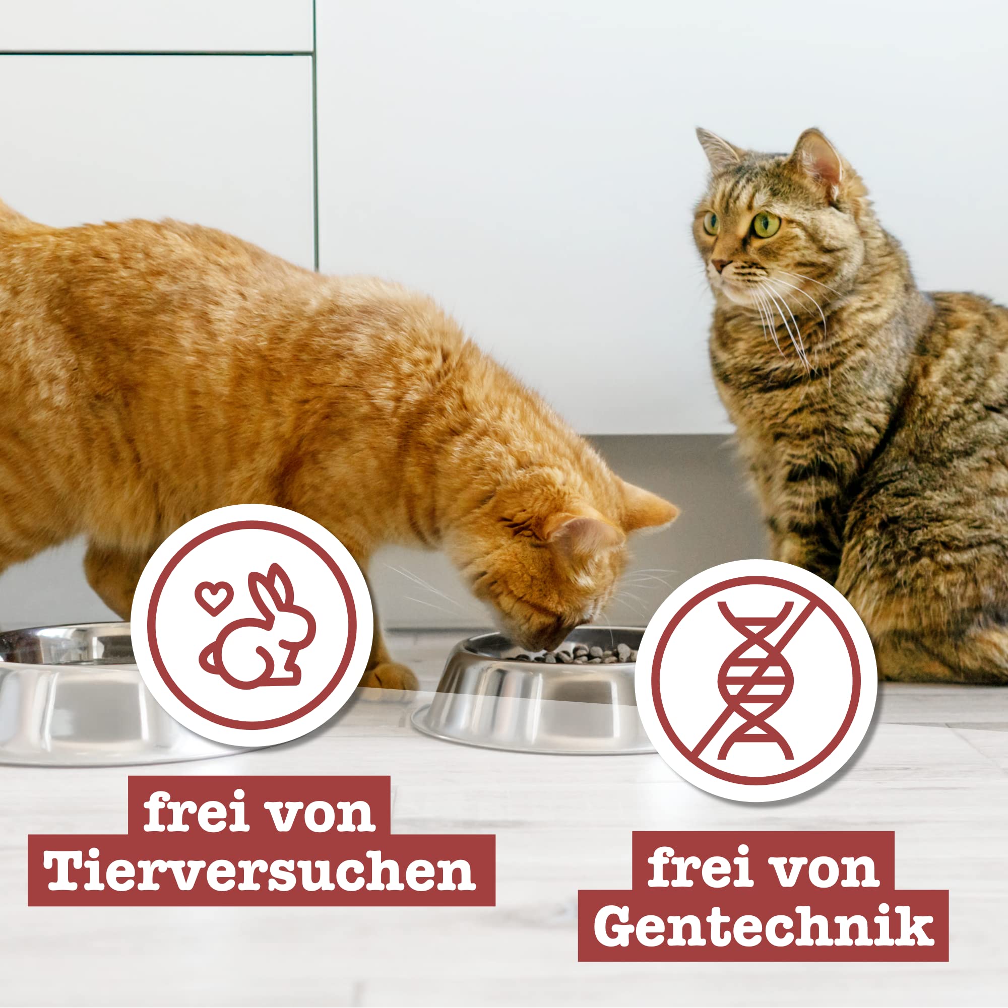 catz finefood Classic Senior Katzennassfutter Huhn 16x85g getreidefrei