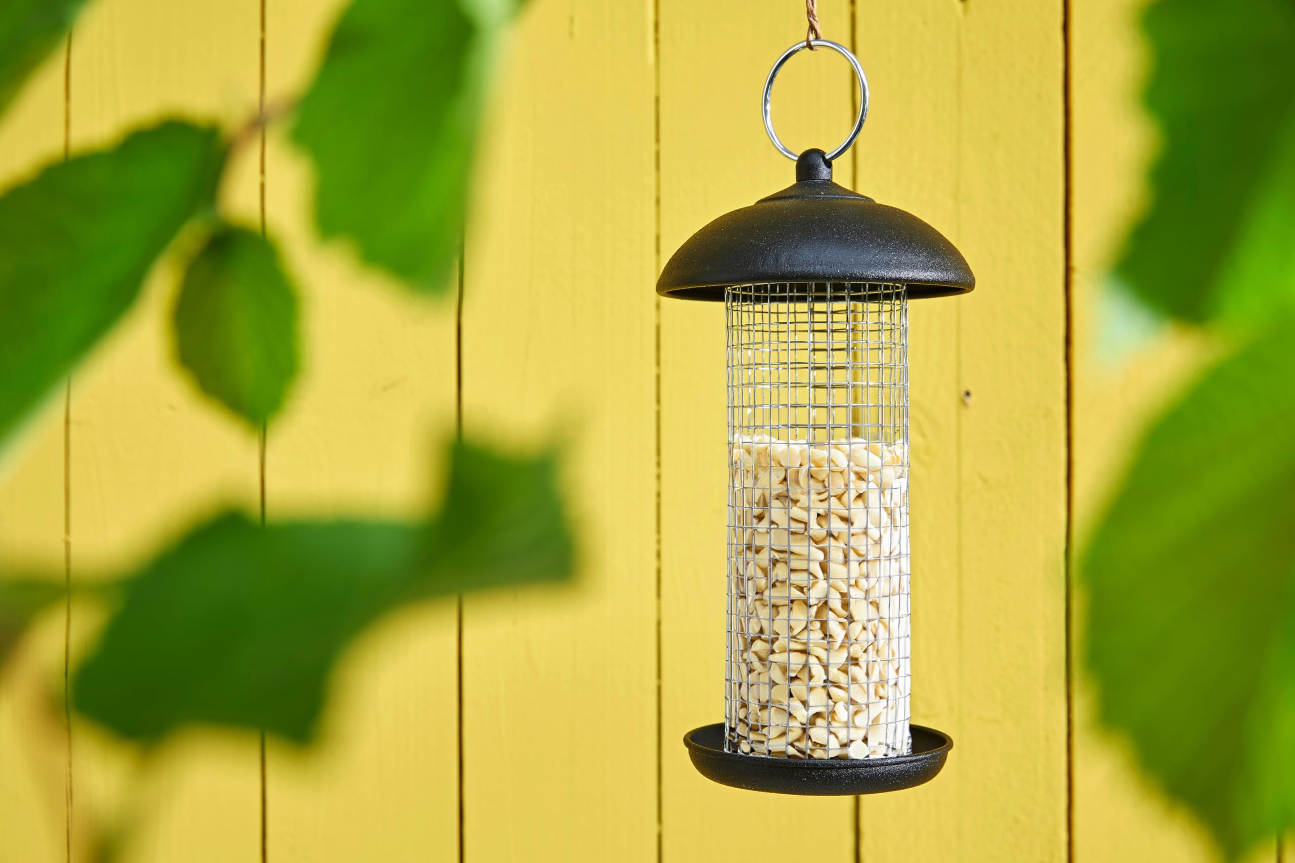 Dehner Natura Premium Wildvogelfutter Erdnüsse 3,4 kg schalenfrei