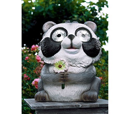 Dehner Solarleuchte Waschbär Cookie Kunststein Leuchte