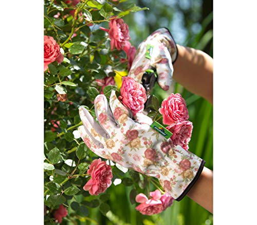 Dehner Gartenhandschuh Rosenmotiv Größe 9 L Damen