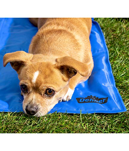 Dehner Refresh Hunde-Kühlmatte 60x50 blau selbstkühlend