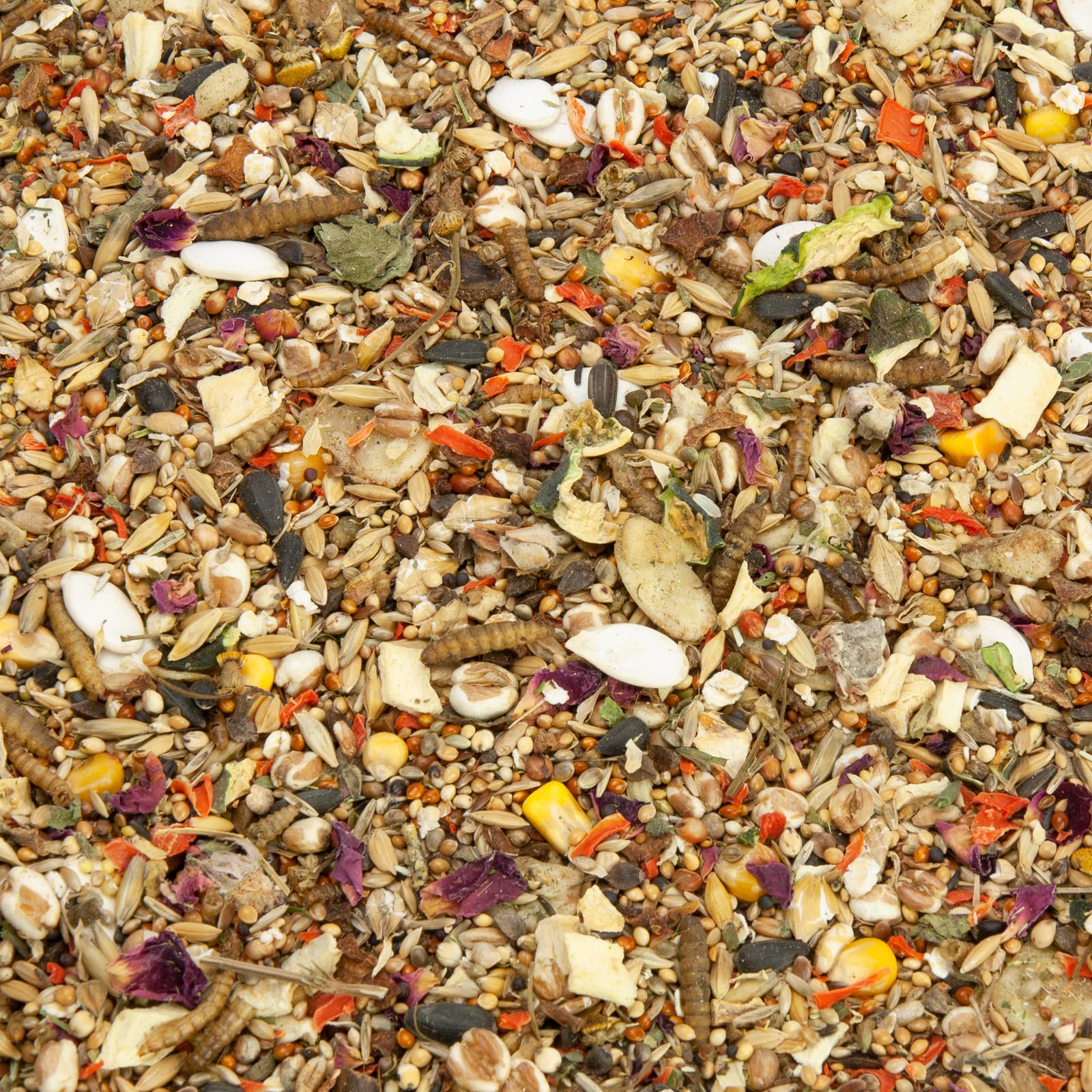 Mr. Crumble Farbmaus-Futter Mäusefutter ohne Pellets 1000 g
