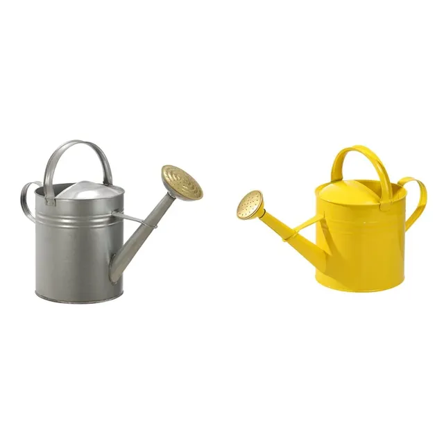 Dehner Gießkanne nostalgisch Set 9l+5l Zink Brause