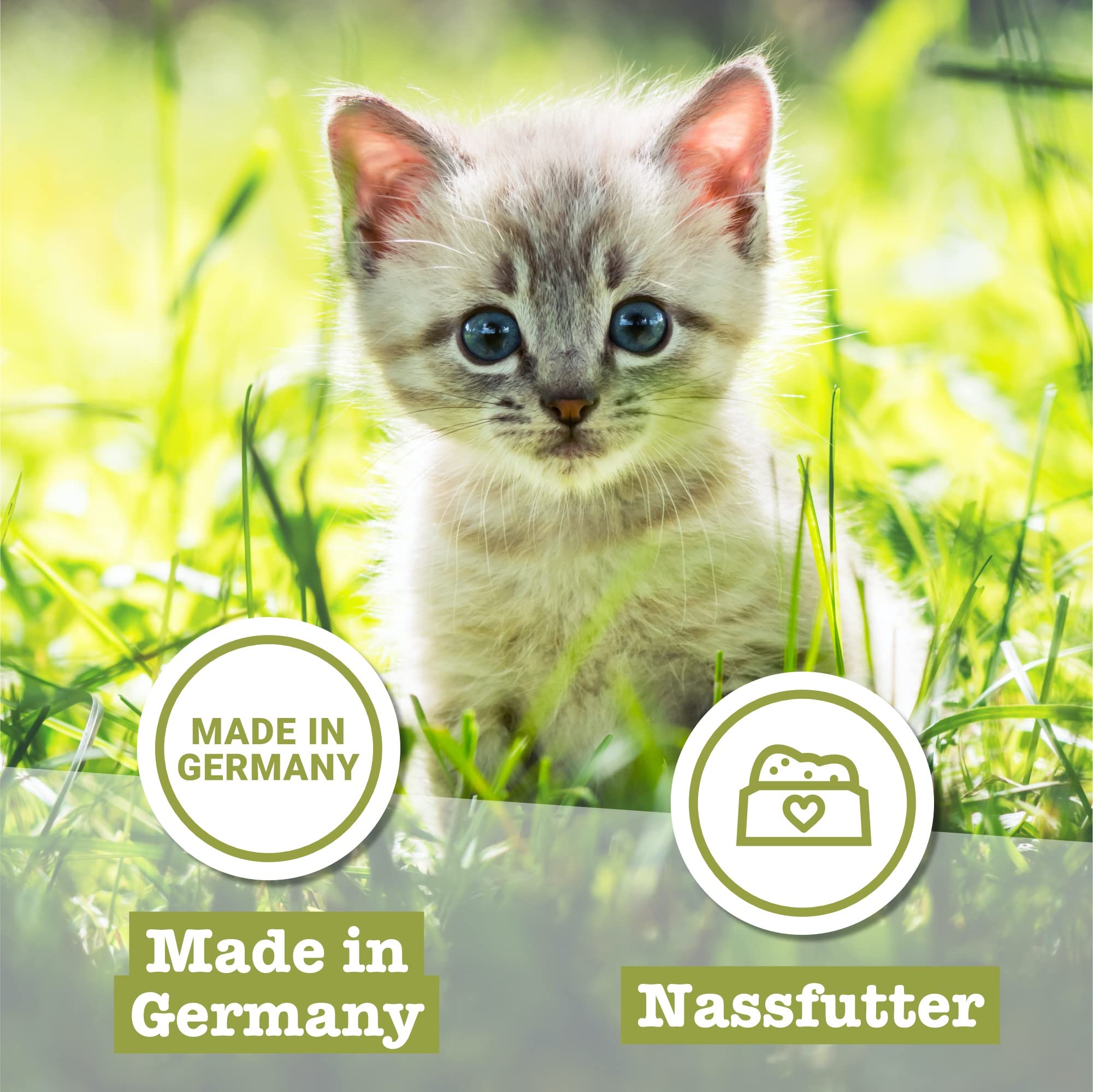 catz finefood Kitten No.5 Lachs Geflügel Nassfutter 16x85g
